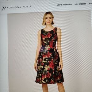 Adrianna Papell Floral Black RedDress